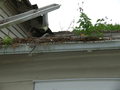 2007-Louisiana-Mission-Trip EBC (276).JPG